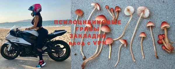 mdpv Каменск-Шахтинский