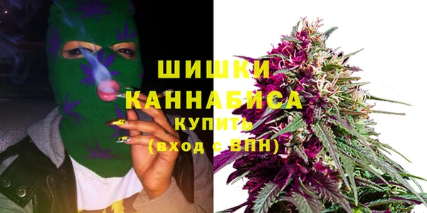 дживик Каменногорск