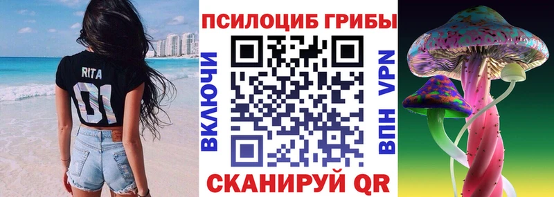 Купить закладки  Славгород  Псилоцибиновые грибы мухоморы 